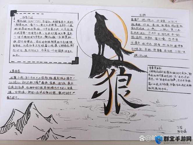 我们身边的狼凶手深度解析，揭开迷雾，探寻真相