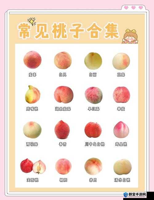 蜜桃❌❌爽口感体验大揭秘：如何挑选最甜美的蜜桃❌❌爽？