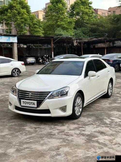 为什么海外华人都爱去 bxbx 皇冠？