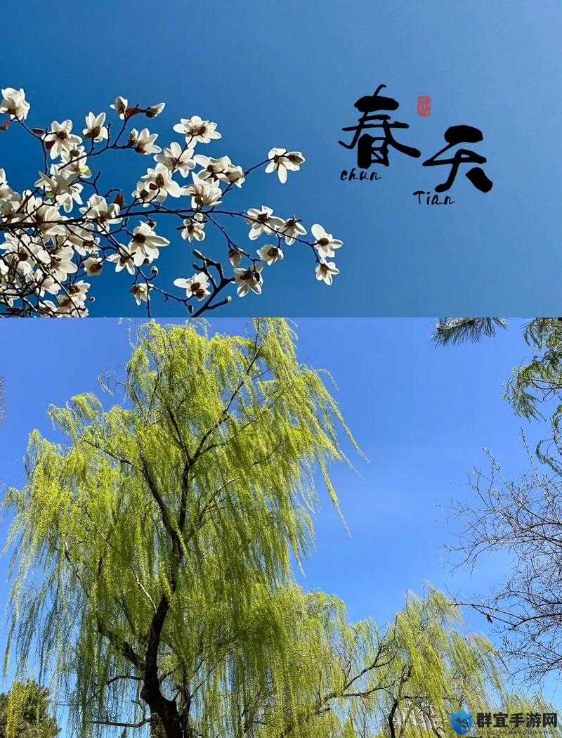 春色满园关不住，日本视频等你来探索