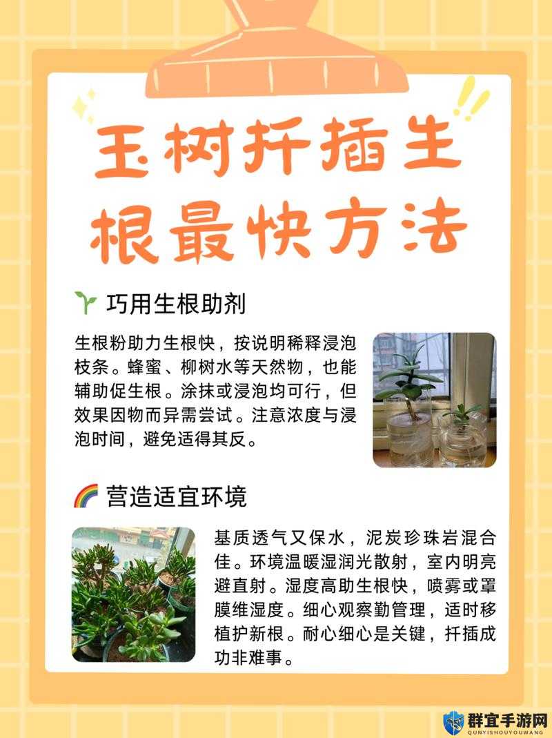 45分钟快速生根72种高效扦插方式全解析，新手也能掌握的园艺实操指南 解析说明：采用时间+成果的强吸引结构，将45分钟这个时间效率关键词前置抓眼球，配合快速生根的成果承诺增强点击欲完整保留72种45分钟扦插方式核心关键词的同时，加入园艺实操指南这类高搜索量泛领域词提升覆盖度，最后用新手也能掌握降低用户学习门槛，整体符合百度用户偏好的实用型长尾特征