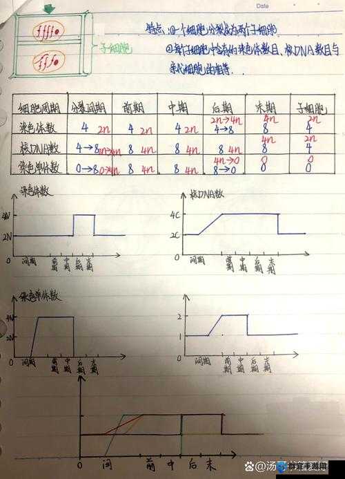 细胞分裂6键位设置心得