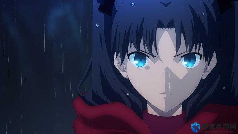 命运之夜——天之杯：恶兆之花：一场关于圣杯战争的残酷较量