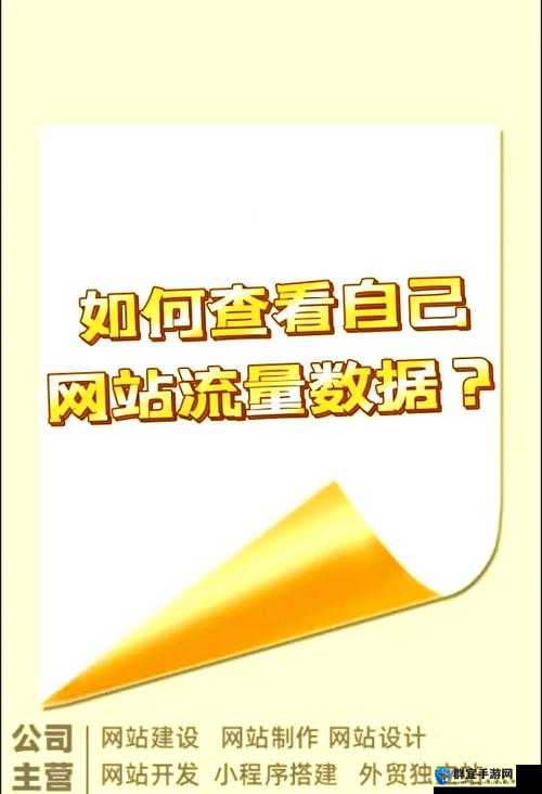 如何提升网站流量？掌握这些技巧让你的网站脱颖而出
