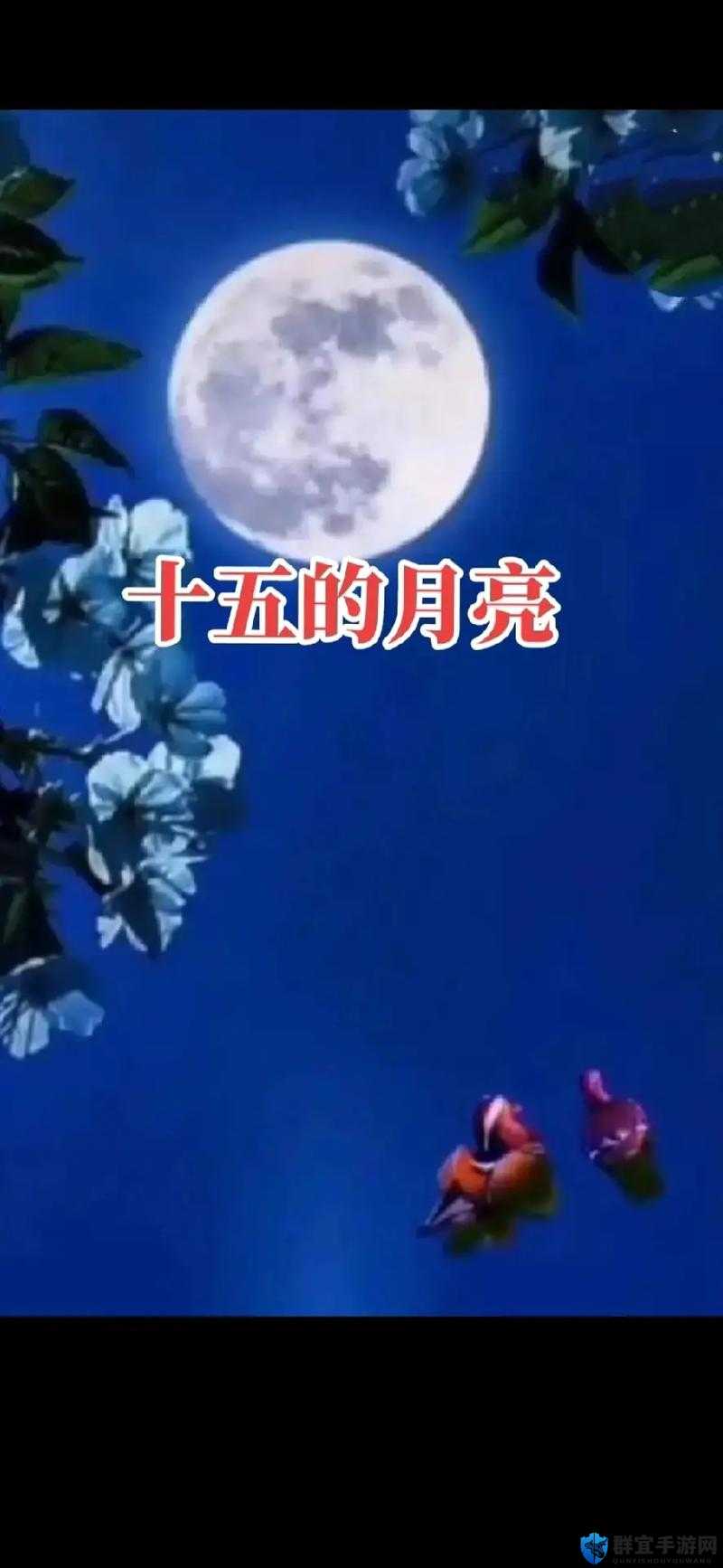 小芳与月亮有何关联？探秘小芳和月亮背后的神秘故事