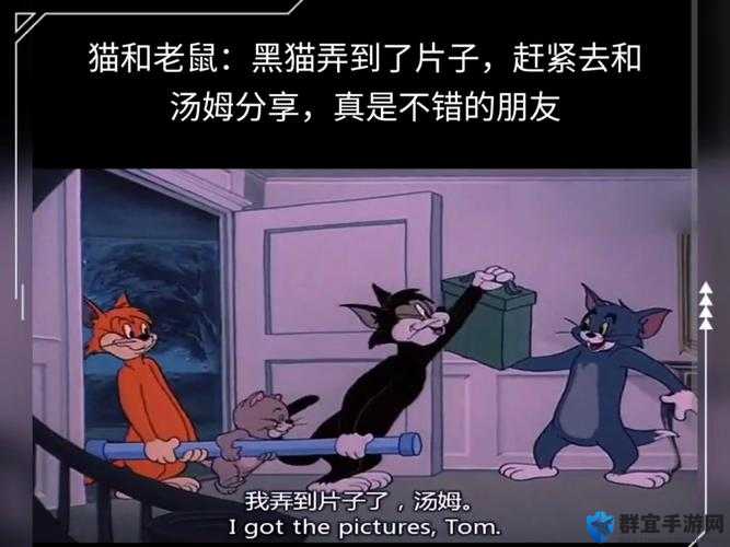想知道汤姆叔叔的温馨提示在哪看？相关观看渠道大揭秘