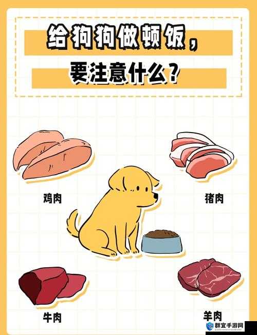 小狗炒菜top五指教学生动教程：轻松掌握宠物犬烹饪技巧与五指操作秘诀