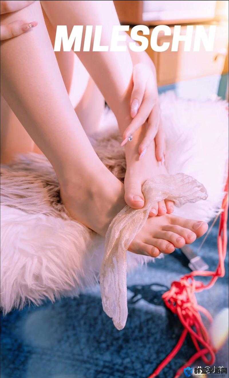探索玉足美女脚交视频的独特魅力：全方位解析与深度体验指南