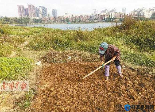 开垦母亲的荒地意义何在？如何正确进行？其背后价值与挑战解读