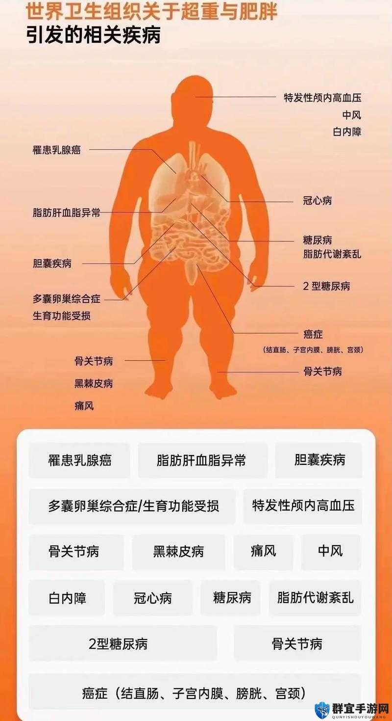 探讨中国肥胖老年女性性多毛现象的成因与健康影响：专家解析与应对策略