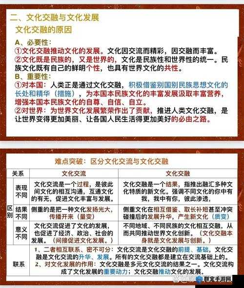 Chinese倾辛Gay国的文化现象解析：探索其背后的社会认同与网络热议