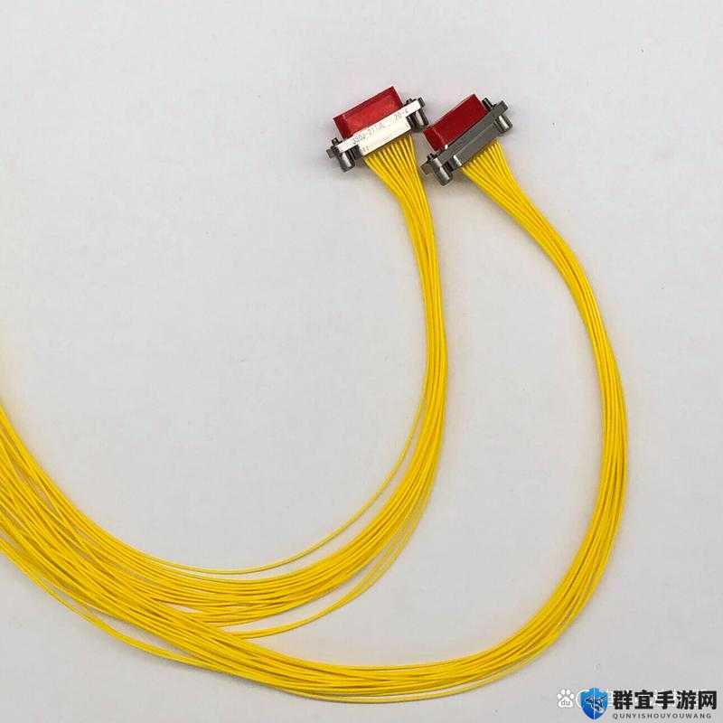 J30J-9ZKP 是什么？它有何特殊之处和重要价值？快来一探究竟