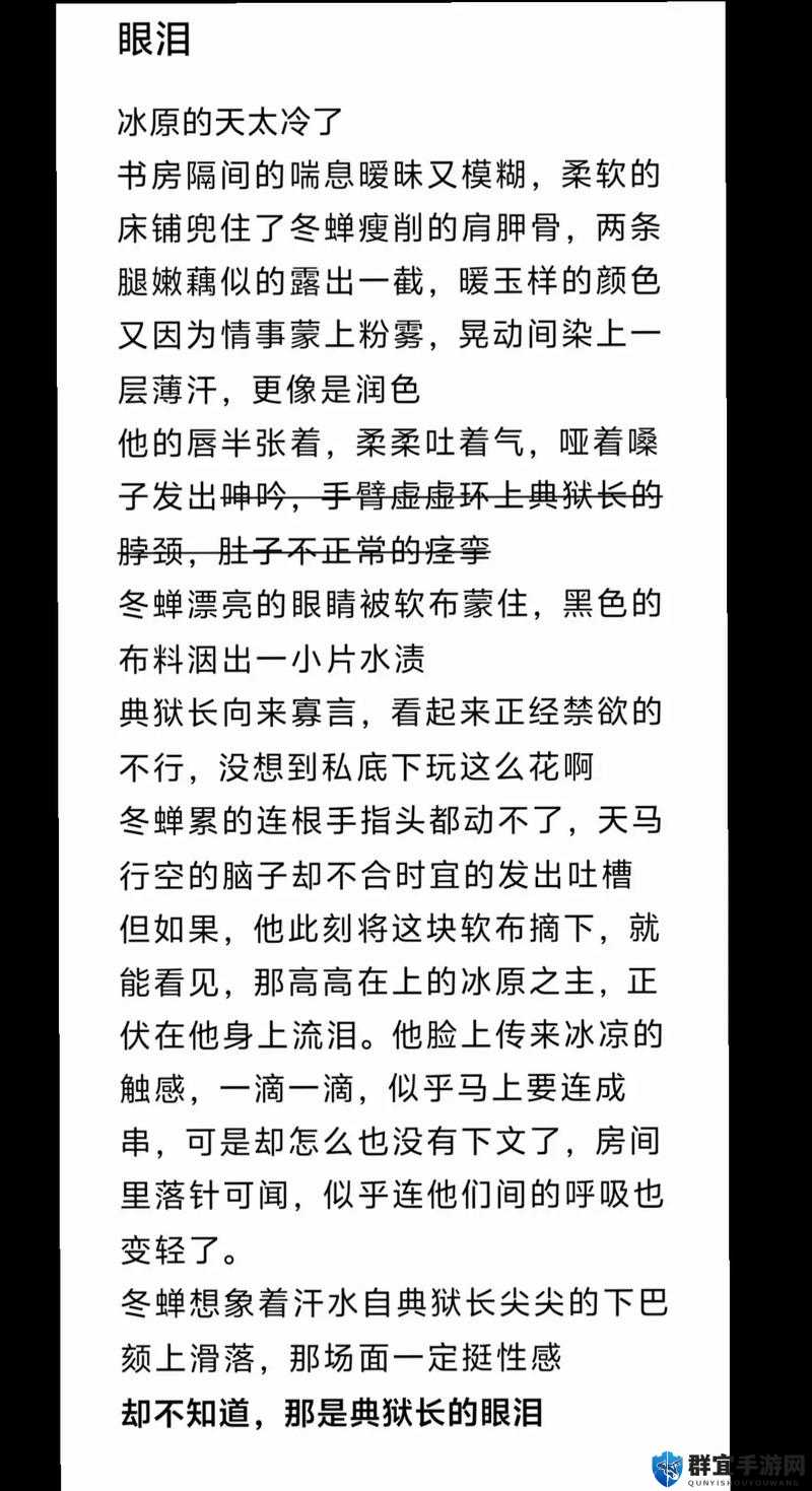 泪石图文攻略，深度解析与隐藏逻辑揭秘