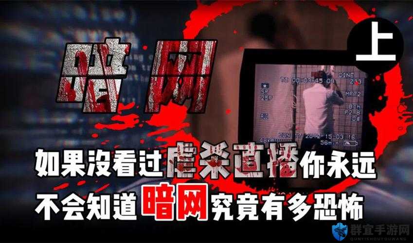 外网杀头网站2023最新曝光：揭秘暗网背后的真相与全球网络安全警示