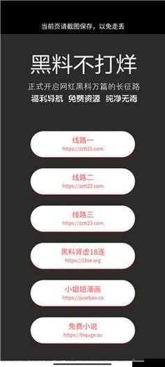 91黑料正能量究竟是什么?为何引发全网关注与热议?快来一探究竟