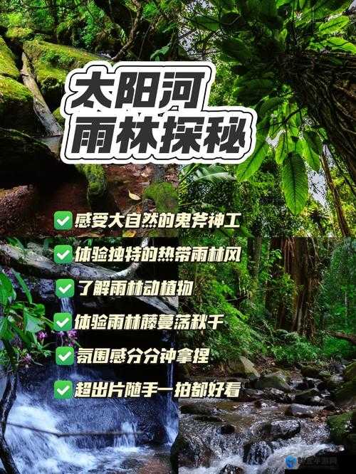探索仙踪林潮水17的神秘魅力：自然奇观与生态保护的双重体验