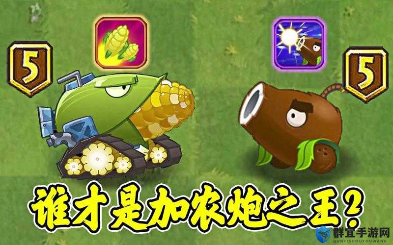 植物大战僵尸2海盗加农炮轻松10w分攻略,资源管理、技巧与最大化价值