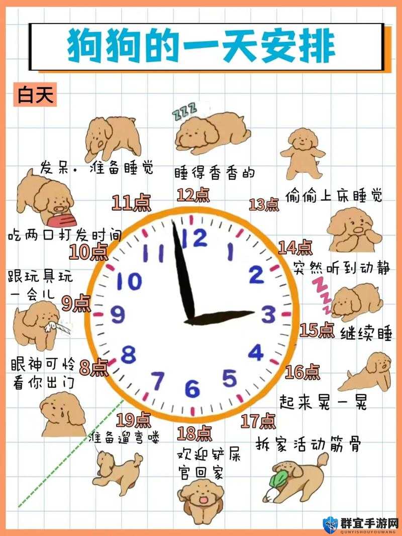 狗狗配人最佳时间是什么时候?掌握这些关键点让你的宠物更健康