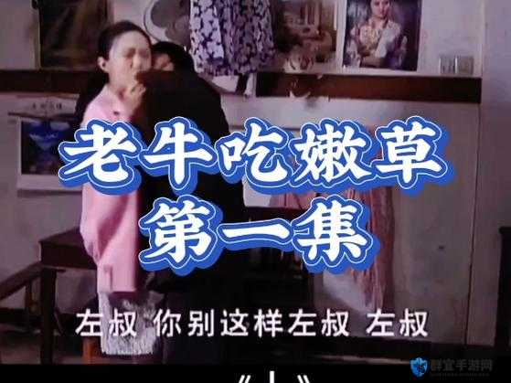 老牛嫩草的禁忌之恋：冲破世俗的爱情枷锁