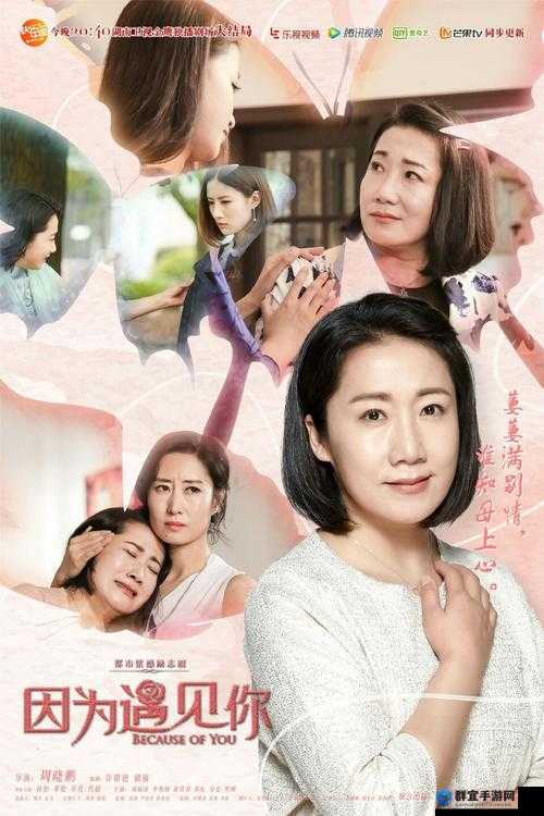 50 岁春天：中年人的爱情与梦想电视剧剧情分集介绍