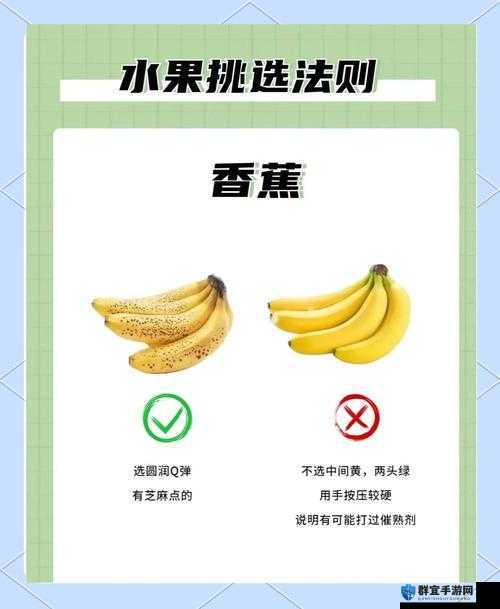 大菠萝app福建地区使用指南：如何高效利用大菠萝app在福建的本地生活服务？