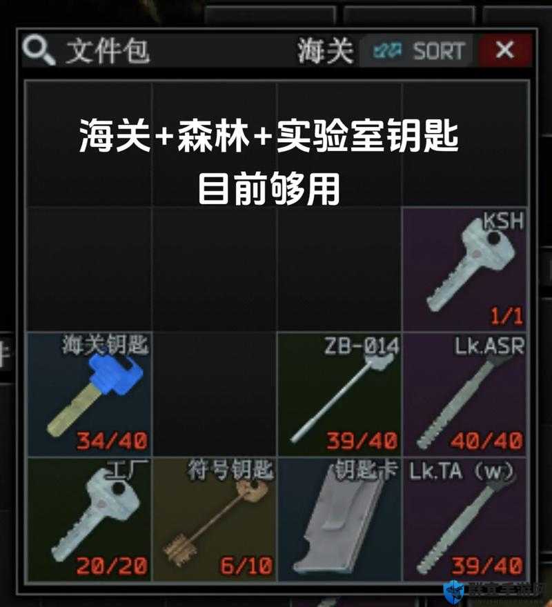 逃生视频攻略,解锁生存智慧的钥匙