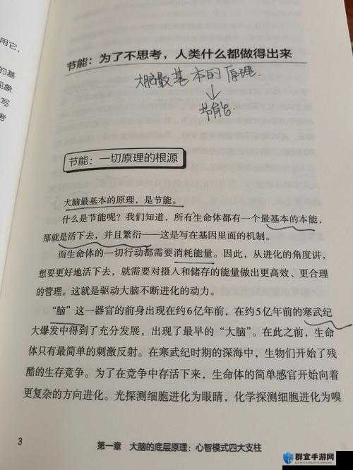 洞穴探险抢黑市商店心得，底层逻辑与操作映射深度解析