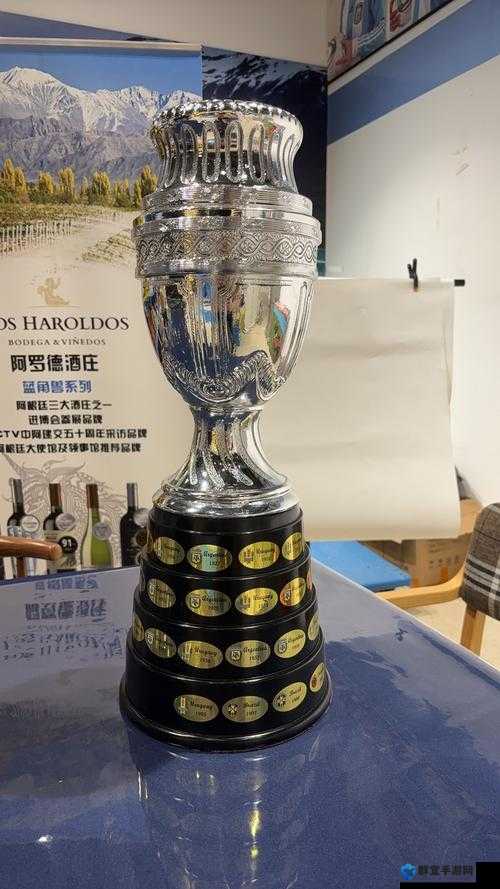 美国末日奖杯成就深度解析，挑战与荣耀的见证