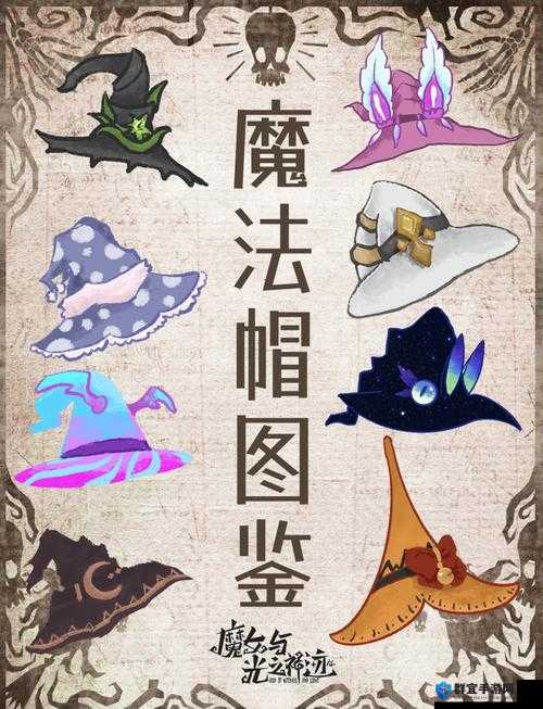 帽子世界游戏技巧分享，解锁无限可能的奇幻之旅