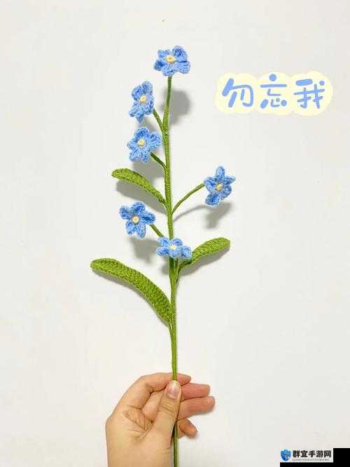 勿忘我第一章视频攻略，资源管理的艺术