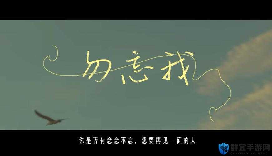 勿忘我，一场记忆与战斗的浪漫交织