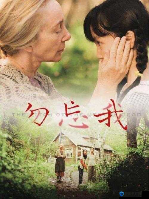 勿忘我视频攻略，解锁记忆深处的秘密