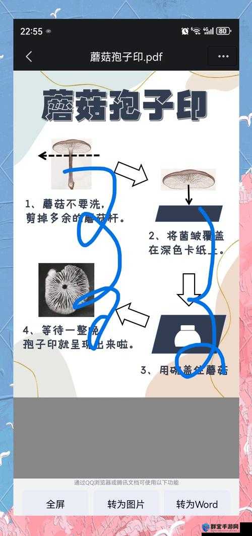孢子停止运行的解决办法深度解析