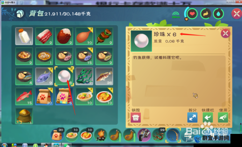 圣域2魔法珍珠的使用方法