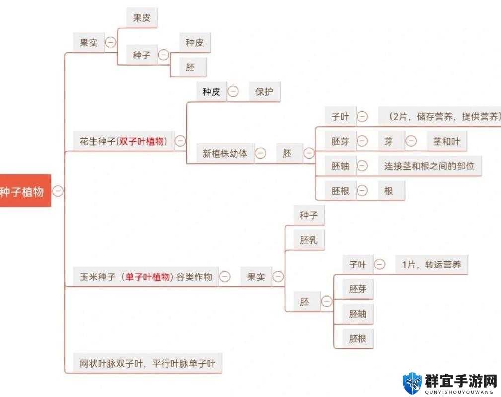 CDDA孢子树核心详细资料 特点介绍——演变史专题