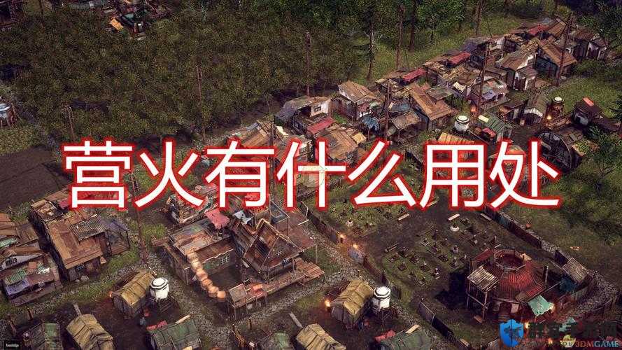 末日地带与世隔绝营火有什么用？营火的作用效果全面解析