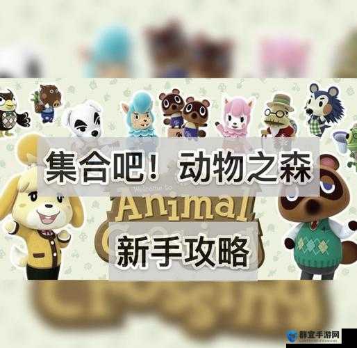 集合啦动物森友会储物箱获得方法大揭秘：NS动物之森收纳箱怎么得？新手必看指南！