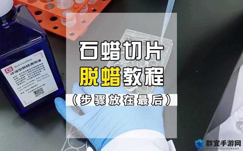 最后的绿洲石蜡如何获得？石蜡获得方法介绍与实用技巧解析