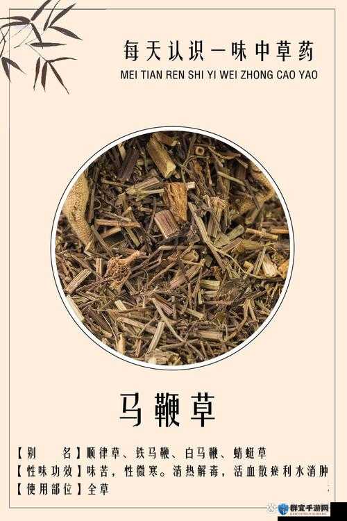 诡野西部马鞭草怎么获得？详细方法介绍