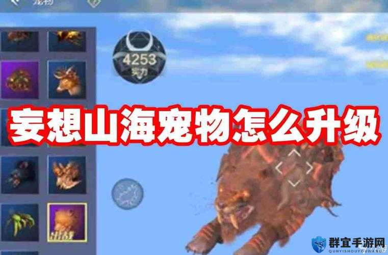 【小红书】攻略必看！妄想山海宠物换头宠，轻松搞定手把手教！