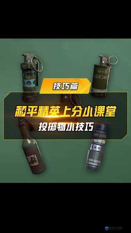 和平精英近战武器投掷攻略分享：实用技巧让你轻松制胜