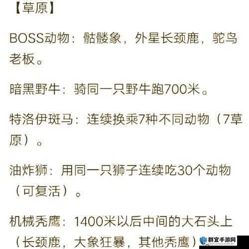 小红书｜小动物之星隐藏奇遇全解析：超多惊喜等你发现！