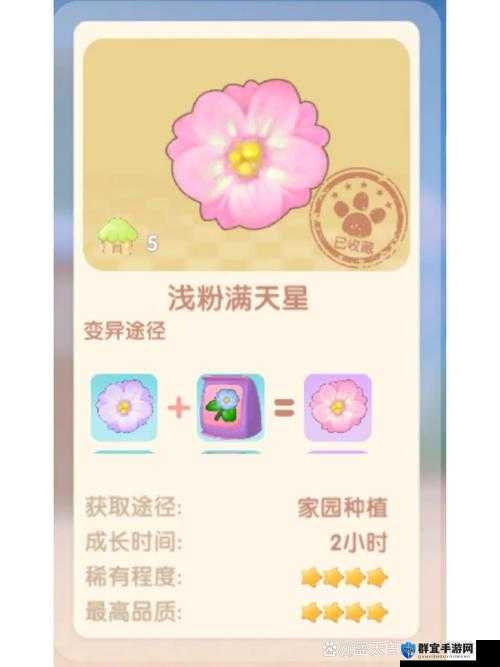 摩尔庄园手游满天星花超详细获取攻略，轻松满级技能必看！