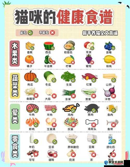 小森生活中的猫咪怎么养？超实用新手必看！
