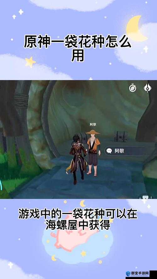 原神一袋花种作用详解：超值道具的隐藏福利大揭秘