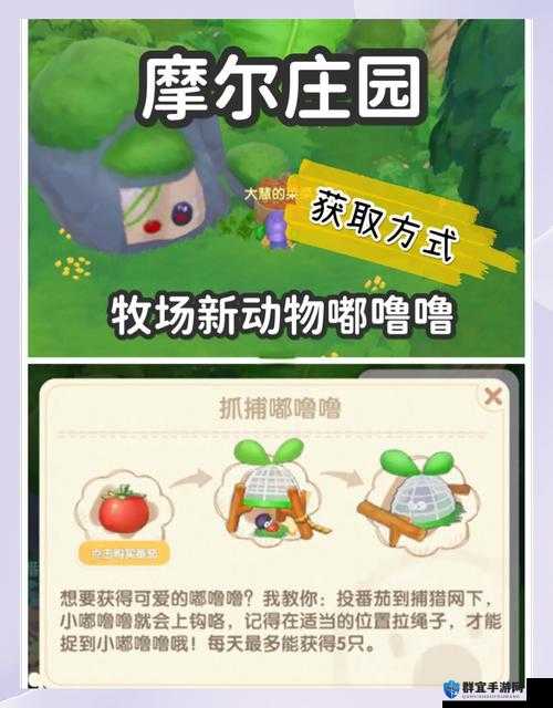 摩尔庄园手游嘟噜噜捕捉攻略：超值小动物养成技巧全揭秘！