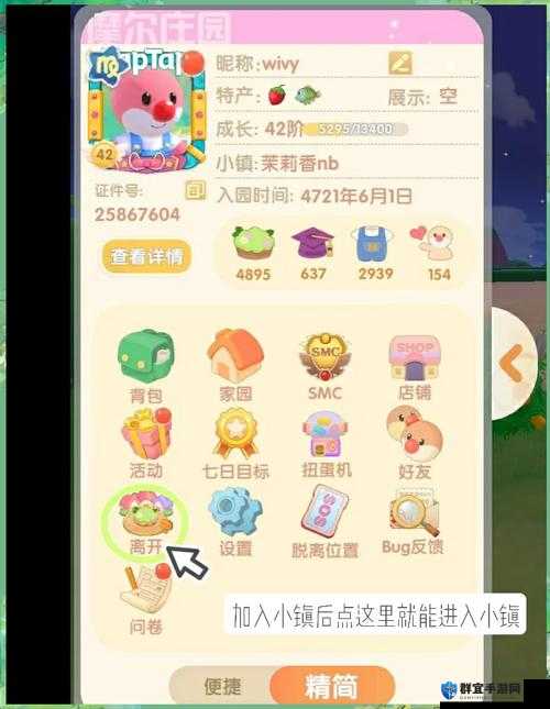 摩尔庄园手游小镇踢人方法攻略：轻松秀翻好友的超实用技巧