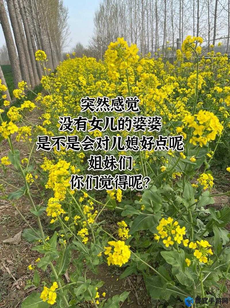我的好儿媳秦雨老旺：禁忌的欲望与秘密花园