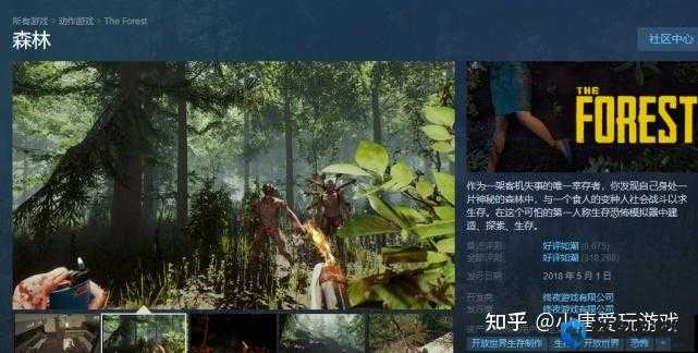 手把手教你！森林中文语言设置方法，3步搞定流畅体验