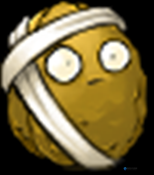 植物大战僵尸坚果包扎术大神教学！手残党秒变战神的绝招公开